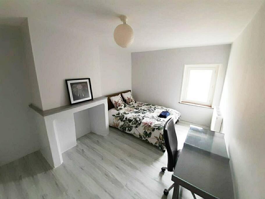 Duplex A Deux Pas De La Place Stanislas *